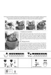 Bulbes à fleurs à planter à l'automne - Amaryllis Hippeastrum Strié (x1) - MEDIA_PACKAGING_VERSO